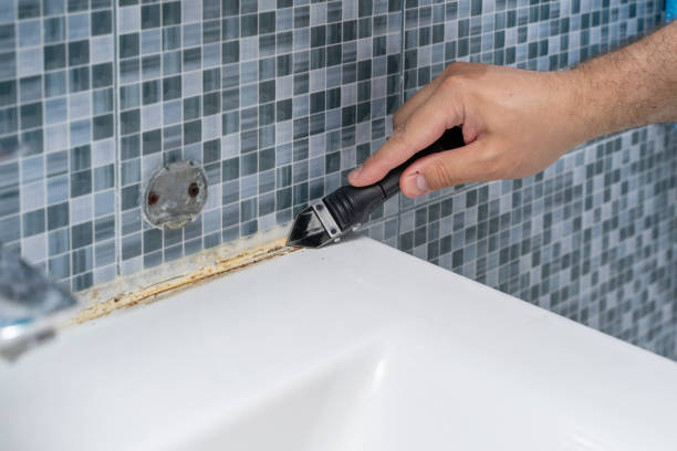 Best DIY Mold Remediation Support Services in Mked Tree, AR